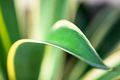 动作探索游戏《巨洞冒险》新增PS5和XS版